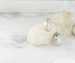 Shell Earrings